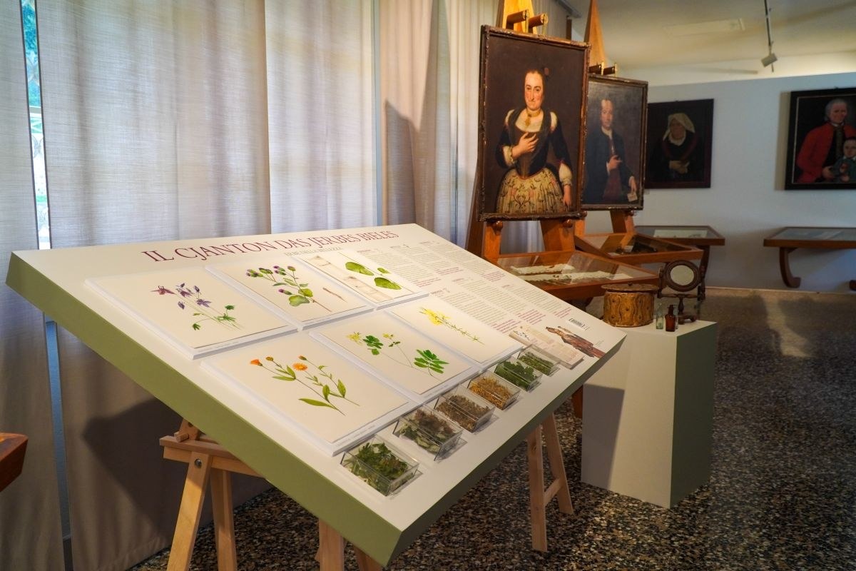 Museo Carnico di Tolmezzo, due visite guidate a settembre per la mostra “Storie di erbe”