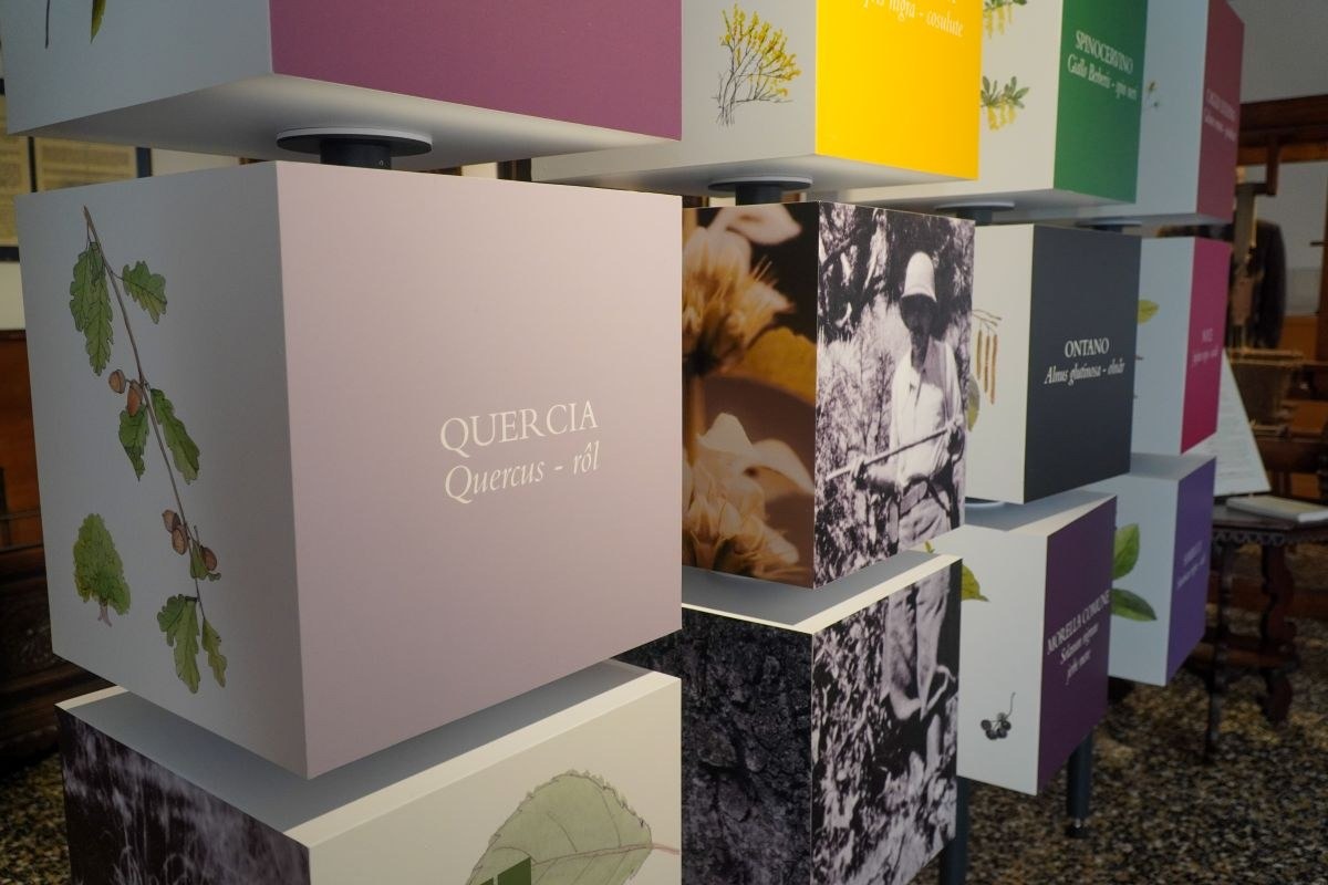 Museo Carnico di Tolmezzo, due visite guidate a settembre per la mostra “Storie di erbe”