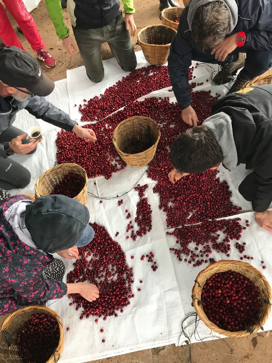 Convention Ippocrate 2026, ad Arre un workshop sul caffè responsabile il 19 settembre