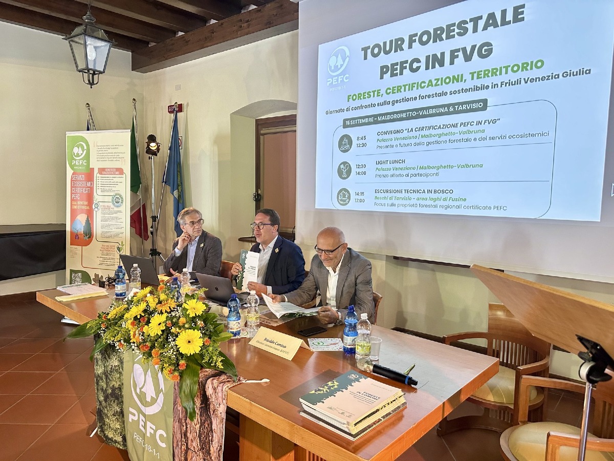 Foresta Tour in Friuli Venezia Giulia, boschi certificati e servizi ecosistemici