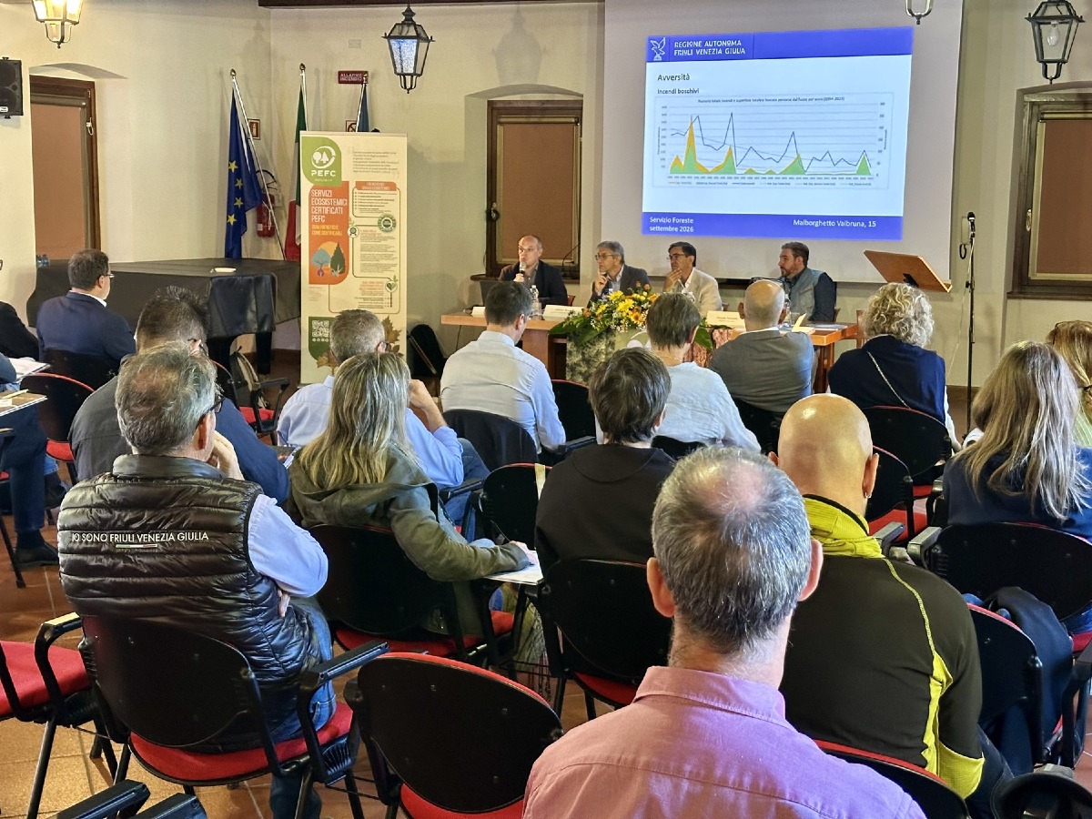 Foresta Tour in Friuli Venezia Giulia, boschi certificati e servizi ecosistemici