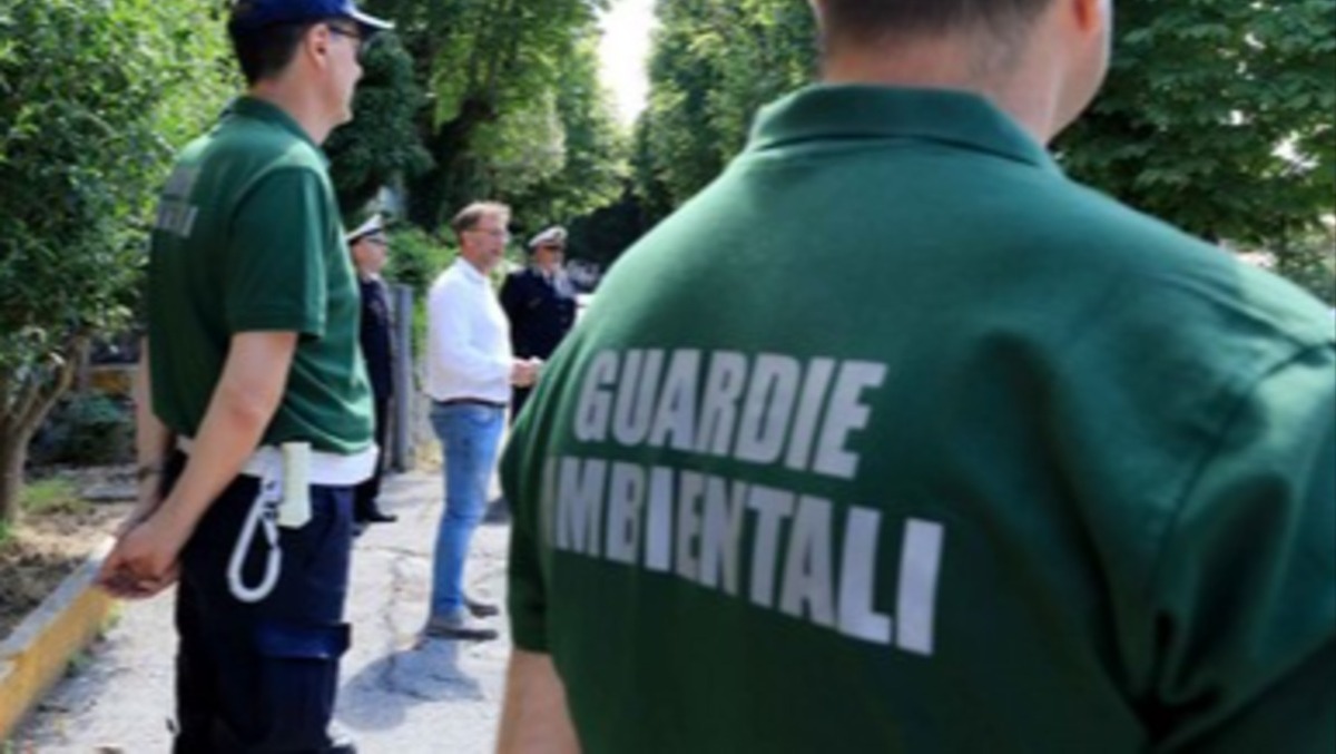 Rifiuti senza autorizzazioni e scarichi abusivi: 44 indagati a Trieste - Immagine di repertorio