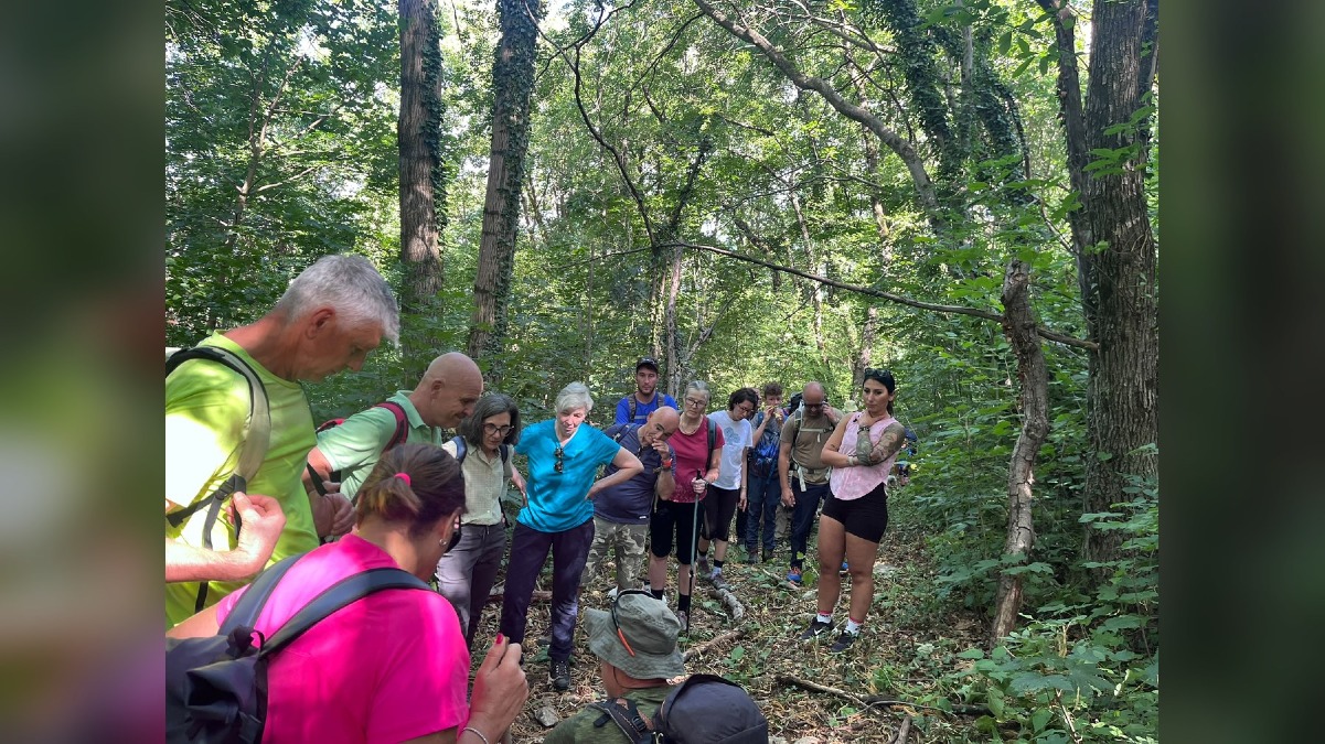 Valle di Soffumbergo, l’11 ottobre escursione tra i monti San Lorenzo e Joanaz - 