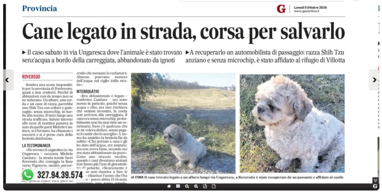 La Rassegna stampa di Nordest24, puntata di lunedì 5 ottobre 2026 | VIDEO - 