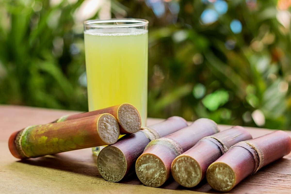 Rum, geografia del gusto tra botti e territori - 