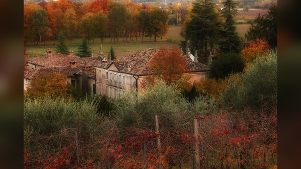 Natura in Villa 2026, sette dimore storiche aprono parchi e giardini tra Padova e Vicenza - 