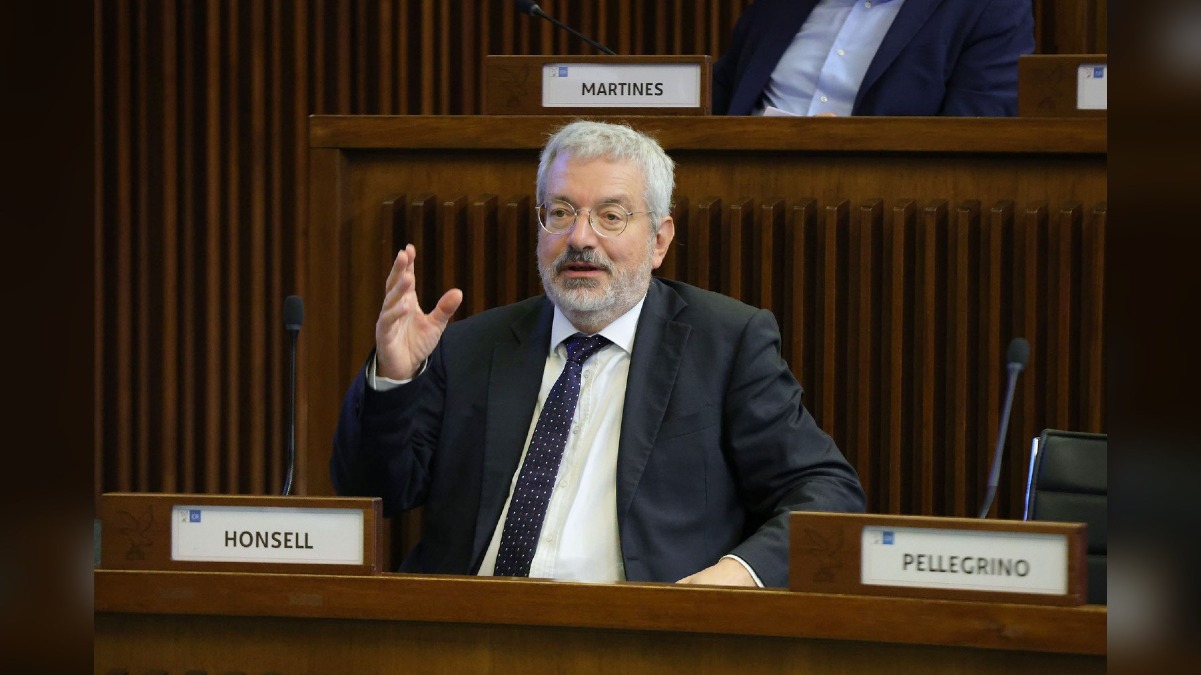 Honsell: no all'abbattimento degli ultimi pini di Grignano - 