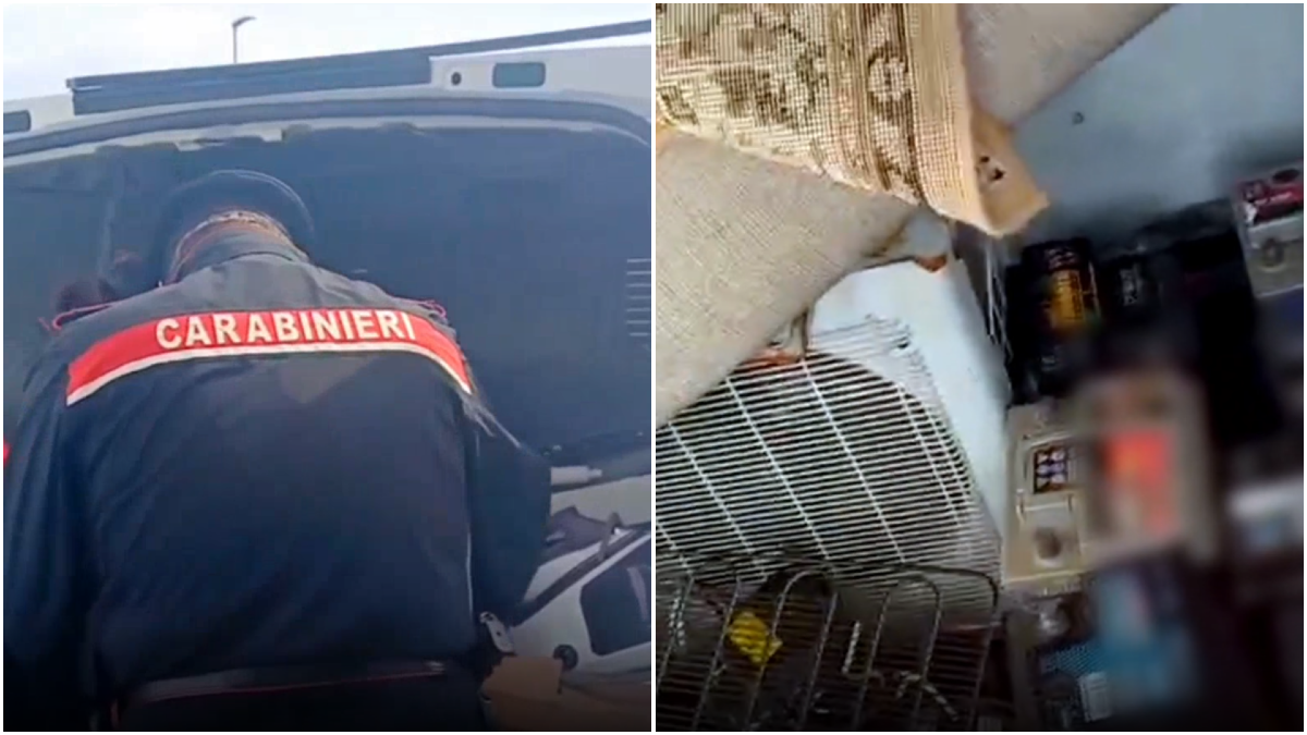 Furgone fermo di notte vicino all’ecopiazzola: i Carabinieri scoprono un carico di rifiuti pericolosi | VIDEO - 
