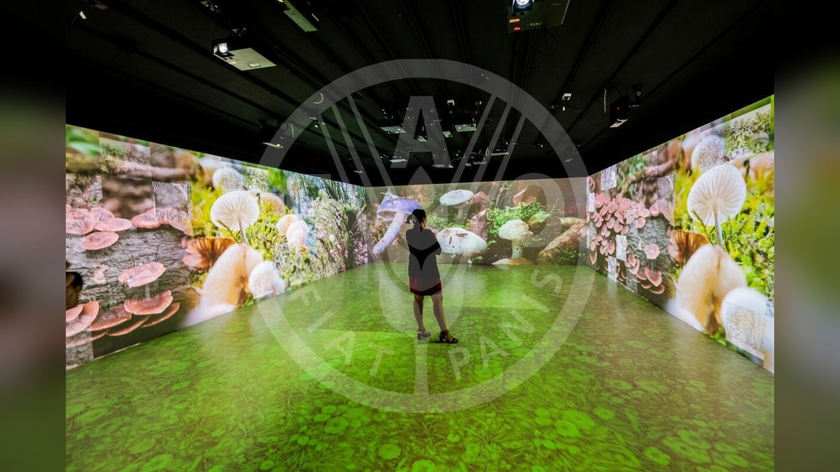 Eureka 2026, la FAO parteciperà alla fiera di Pordenone con il museo MuNe - 