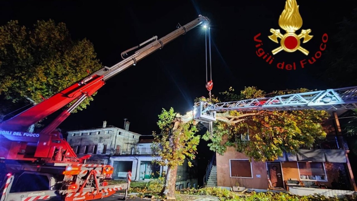 Grosso albero si spezza e rischia di piombare sull’abitazione: arrivano autoscala e autogrù | VIDEO - 
