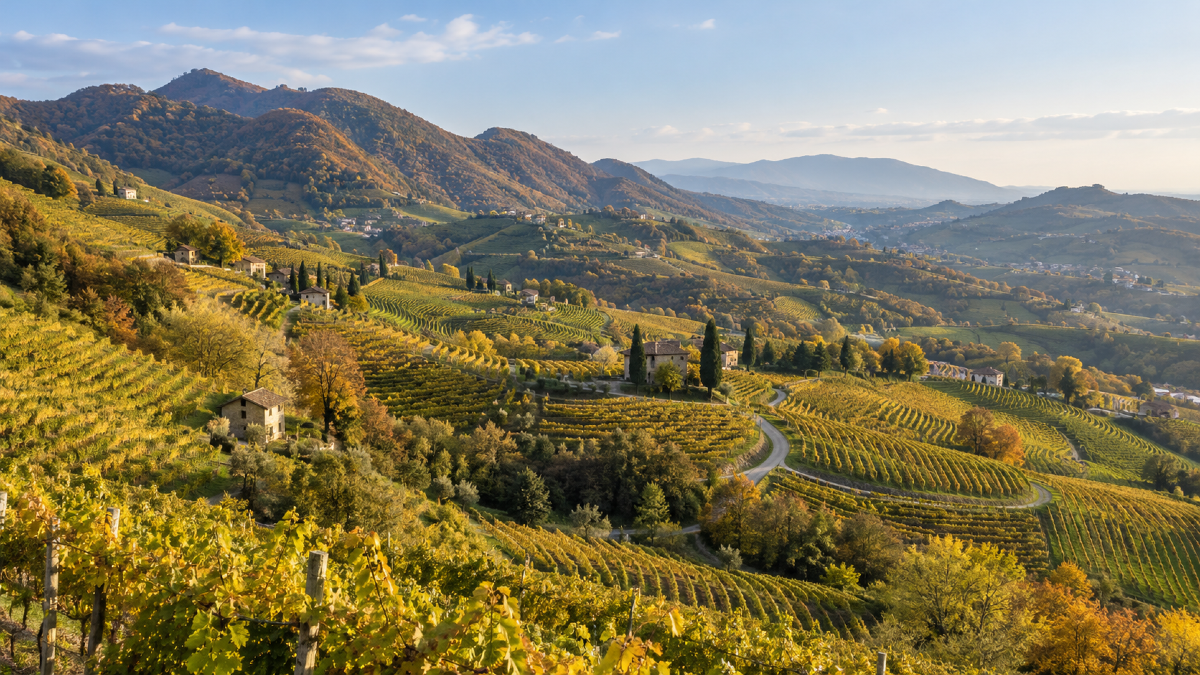 Colline del Prosecco, i pernottamenti crescono più della media veneta - 