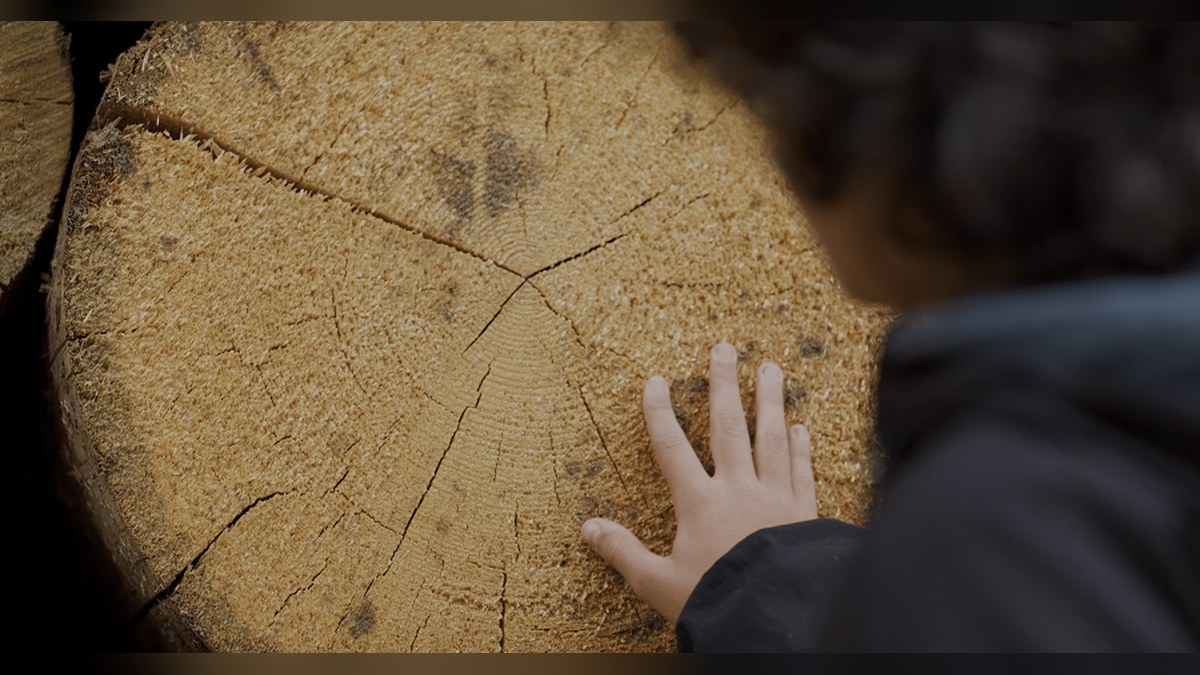 “Holy Wood Dust” arriva al cinema con Stefano Mancuso - 