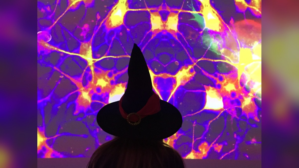 Halloween all'Immaginario Scientifico di Trieste, museo aperto fino alle 20 - 