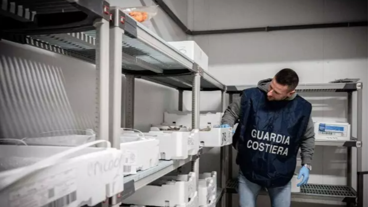 Dai ristoranti agli ingrossi, scattano 52 ispezioni: pesce scaduto e un locale chiuso - 