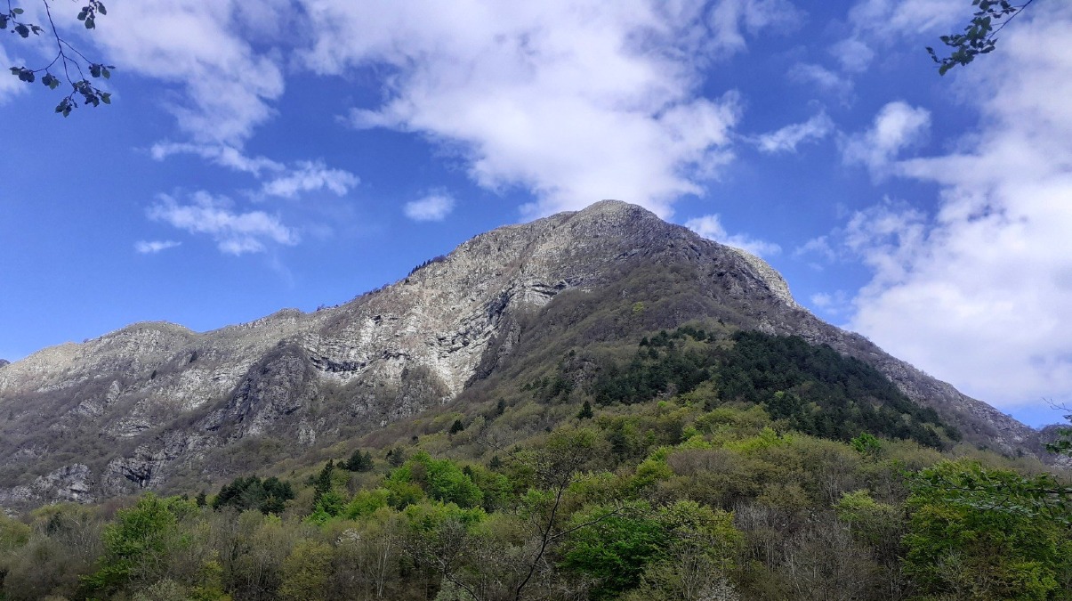 Forgaria, passeggiata guidata a Monte Prat tra colori d’autunno e memoria dell’altopiano - 