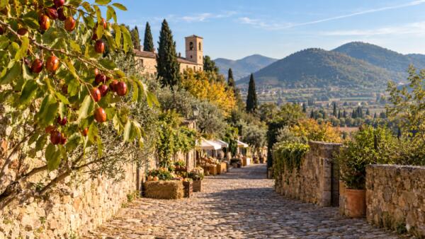 Domenica 4 ottobre in Veneto: Arquà Petrarca e le distillerie vicentine