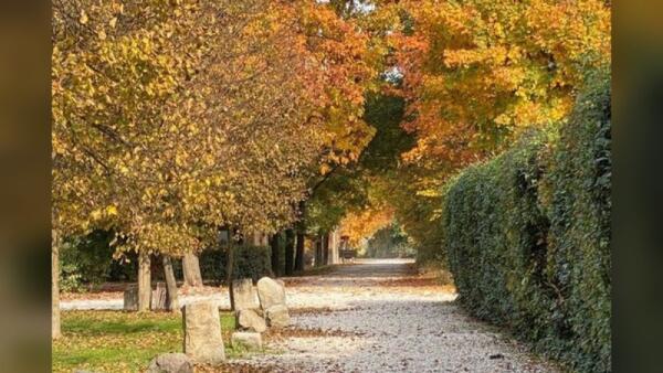 Natura in Villa, domenica 25 ottobre tre dimore storiche aperte tra Rovolon, Thiene e Vicenza