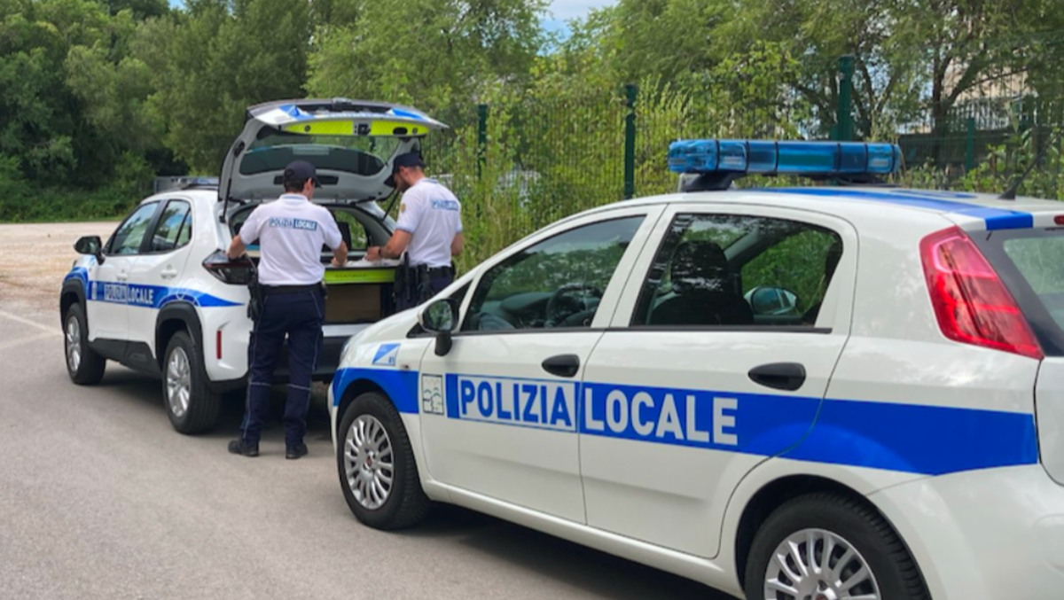 Da Monfalcone a Duino senza fermarsi al controllo: patente revocata e auto non assicurata - 