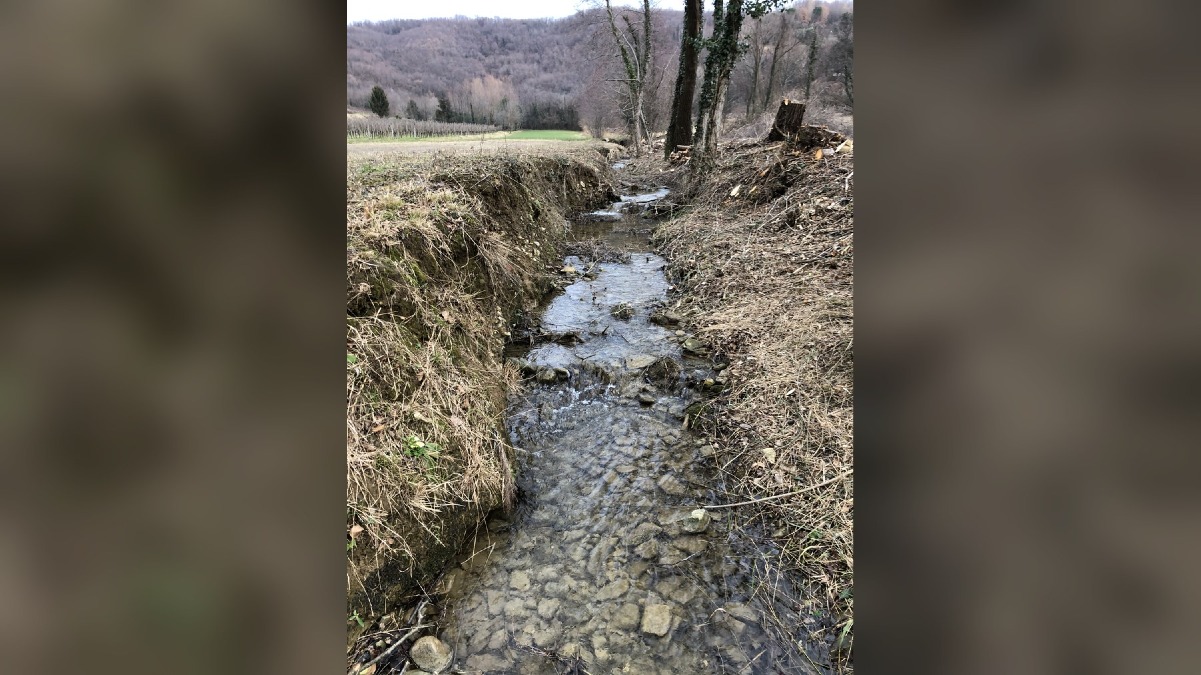 Cividale investe sui rii minori: manutenzione in più zone del territorio comunale