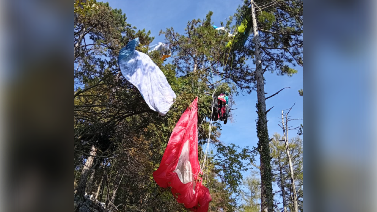 Borso del Grappa, parapendisti bloccati tra le chiome dopo l’urto in aria: recuperati dal Soccorso alpino - 