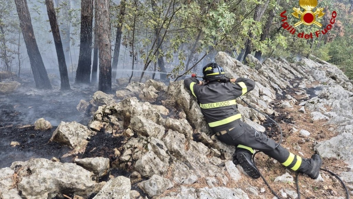 Carso triestino, rogo nel bosco tra Opicina e Monte Grisa: area messa in sicurezza - 