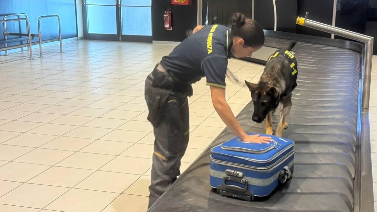 Controlli al Canova, un anno di verifiche su bagagli e contanti: 230 passeggeri multati - 