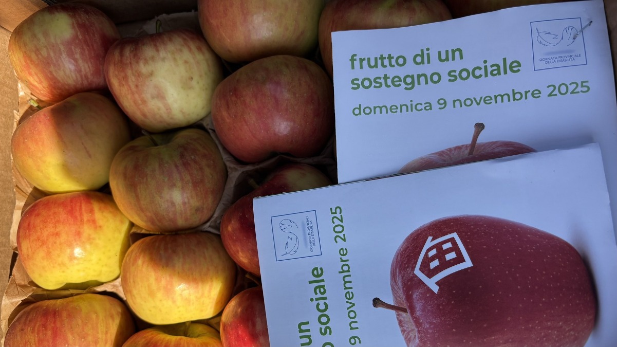 Mele solidali in tutta la provincia: l’8 novembre la rete trevigiana torna in 220 piazze - 