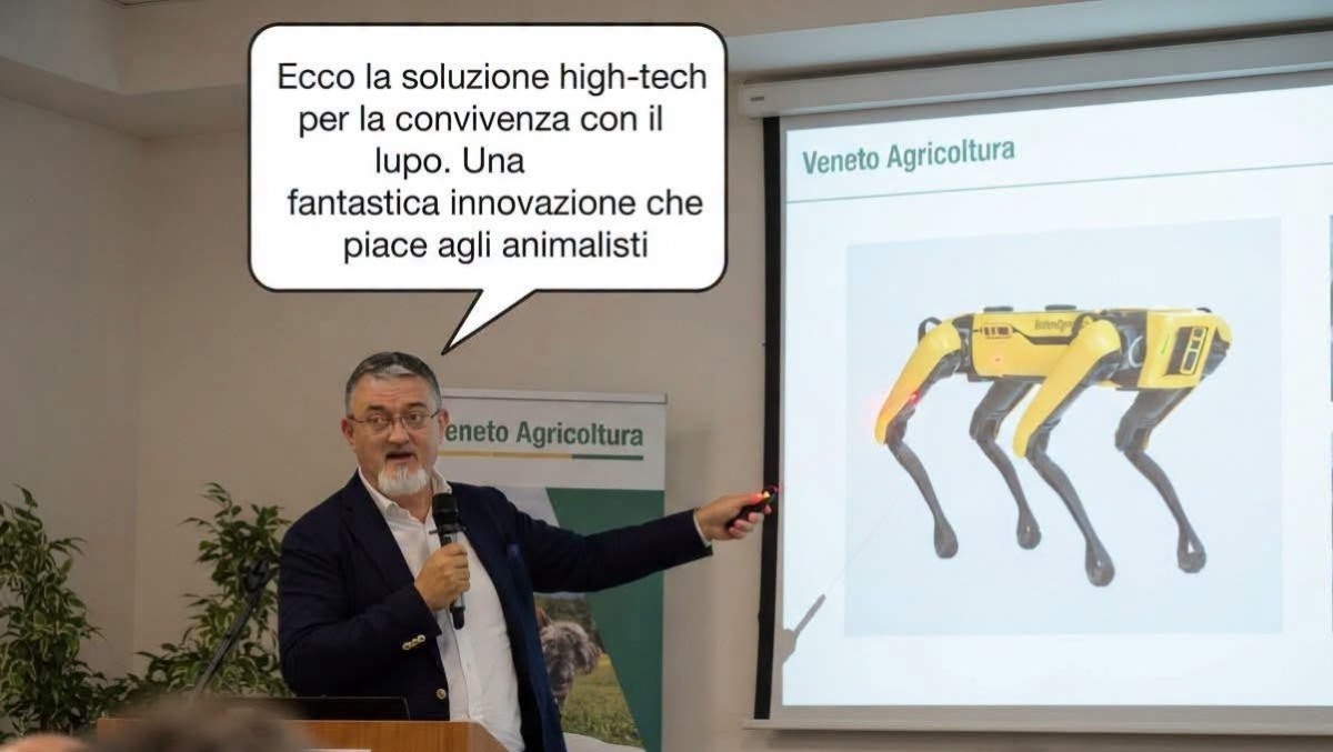 Lupi e allevamenti in Veneto, Valdegamberi boccia i cani robot: «Serve un piano vero, non esperimenti» - 