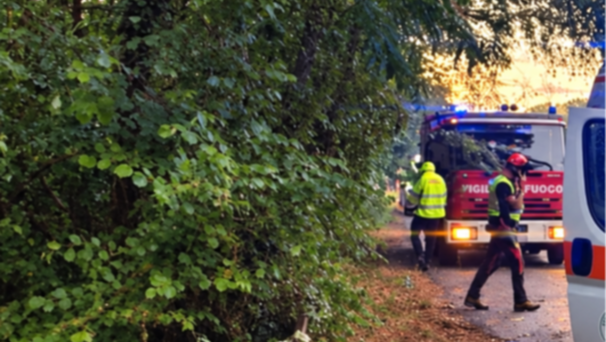 Jesolo, albero cede in via Roma Destra: morto un 46enne mentre era in auto | VIDEO - Immagine di repertorio