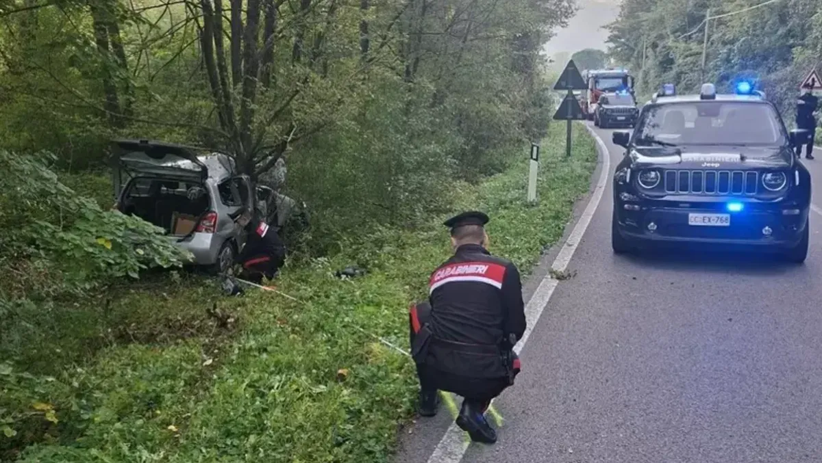 Clenia, auto nel bosco con tre persone a bordo: ferito gravemente un bambino - Immagine ANSA