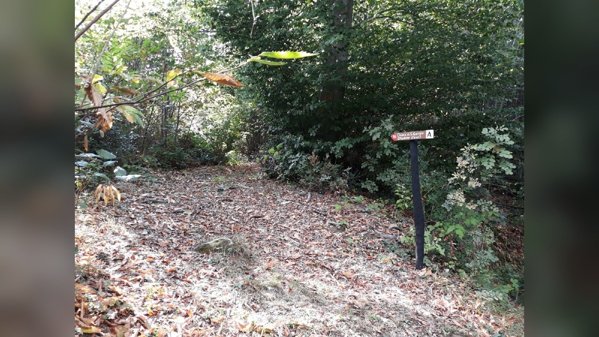 Attimis, cammino d’autunno sulle colline: appuntamento tra Madone d’Aiut e Zuc di Giai - 