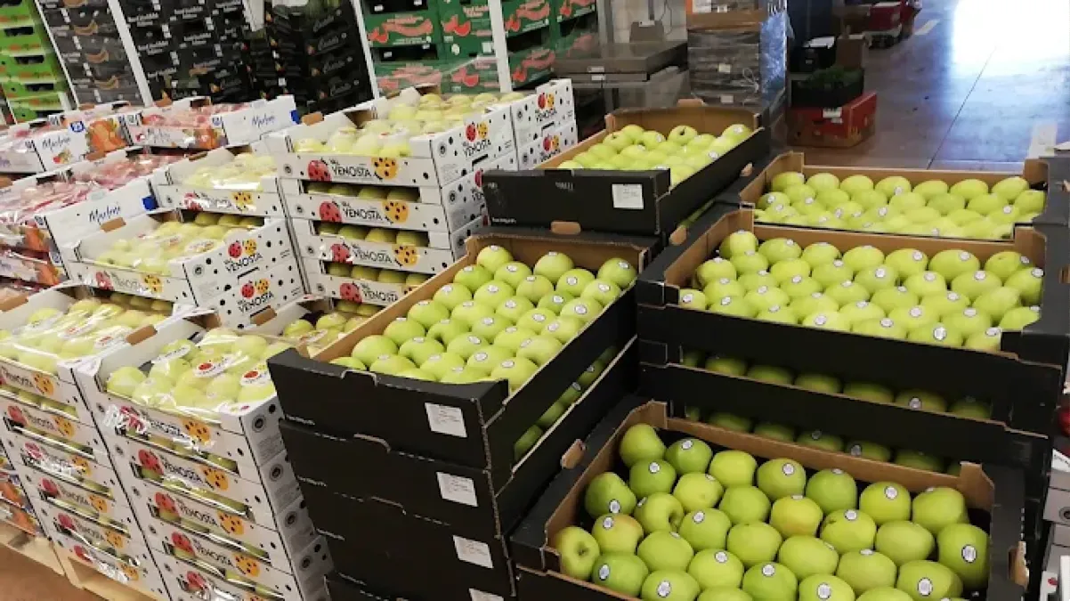 Rifornimenti ridotti a Udine, il mercato all’ingrosso riceve molta meno verdura del previsto - 
