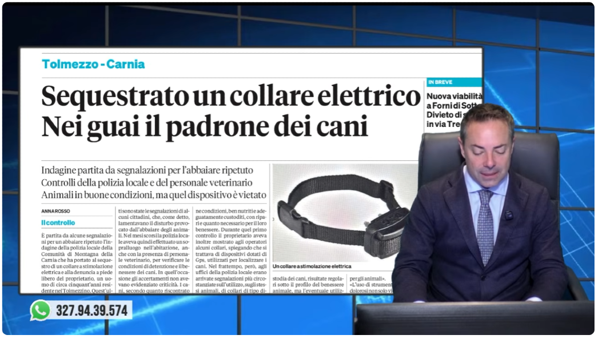 Veneto Today, la rassegna video del 6 ottobre: i temi del mattino da recuperare in differita - 