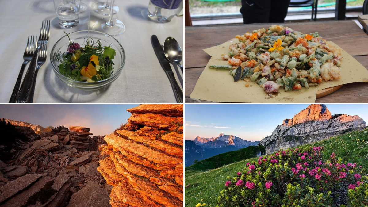 Da Udine a Claut, il dibattito sulle terre alte passa dal cibo: una giornata di studio alla Dolomiti Mountain School - 