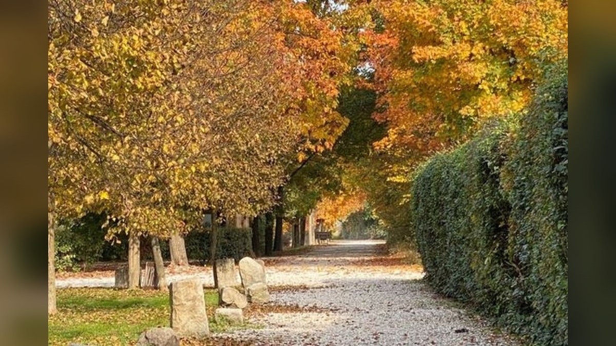 Ville e giardini del Veneto, domenica tra botanica, laboratori e visite in tre dimore storiche - 