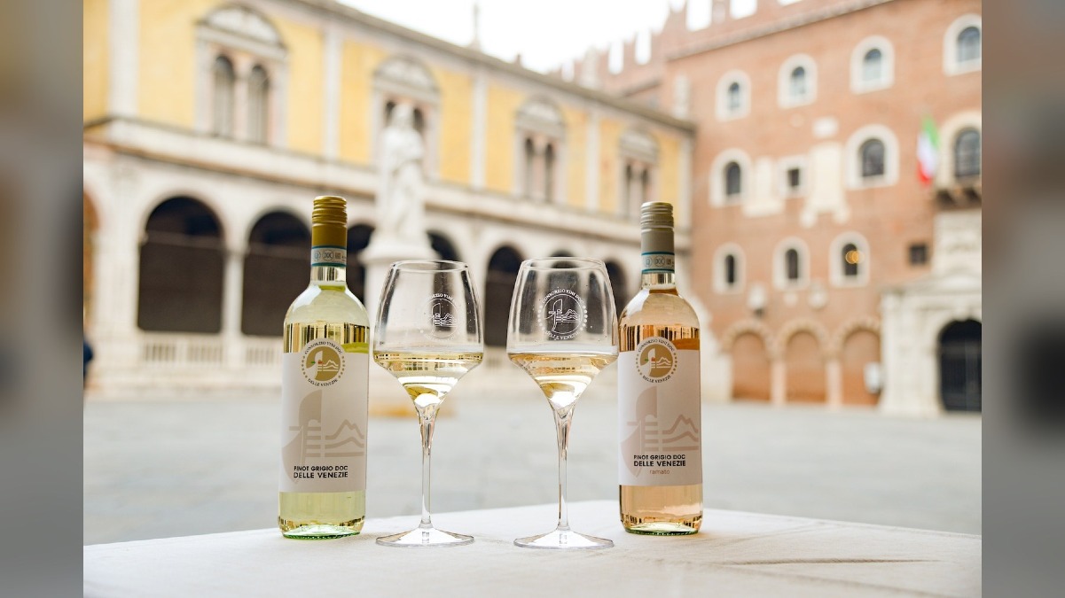 Pinot Grigio, il Veneto porta a Milano il modello Delle Venezie: due appuntamenti al Salone CSR - 