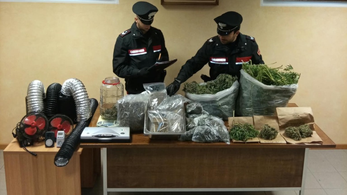 Droga, un arresto in Carnia: materiale per lo spaccio e due serre sequestrate a Verzegnis - 