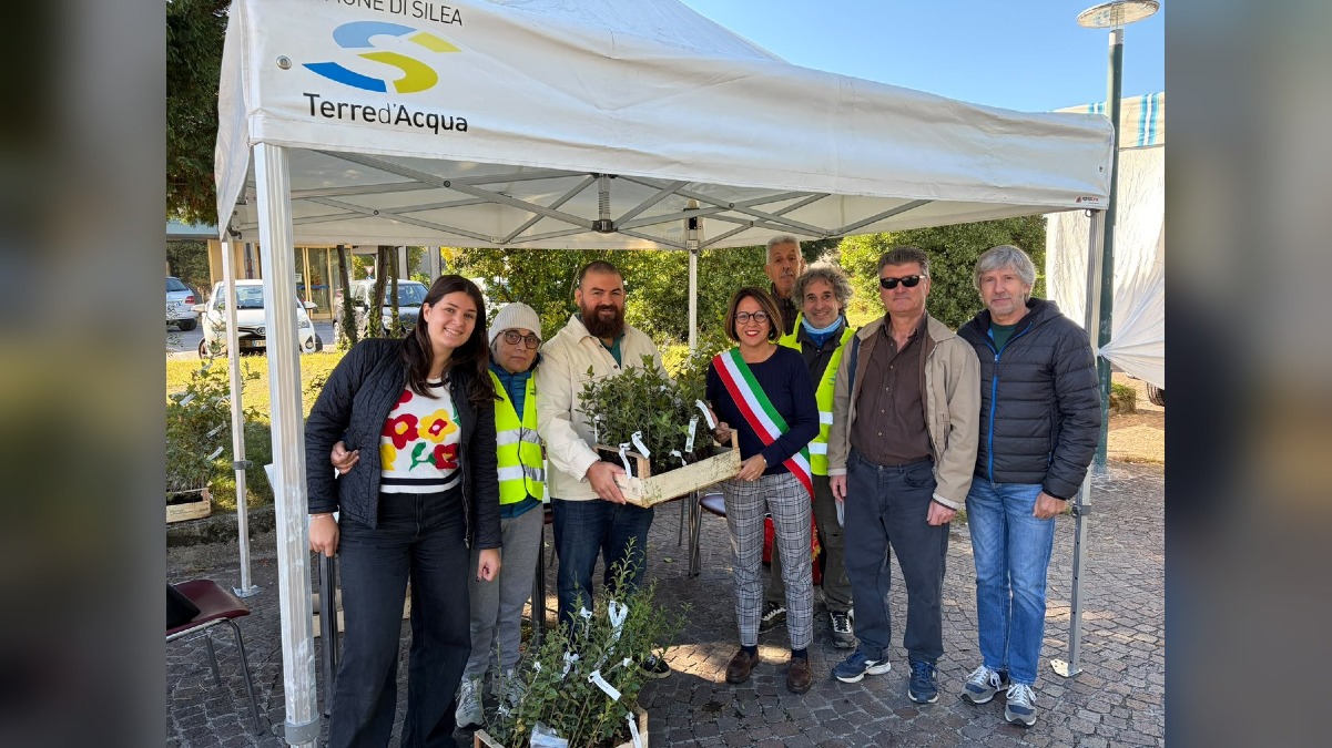 Silea punta sul verde diffuso: centinaia di piante in arrivo tra case, scuola e Bosco di Sant’Elena - 