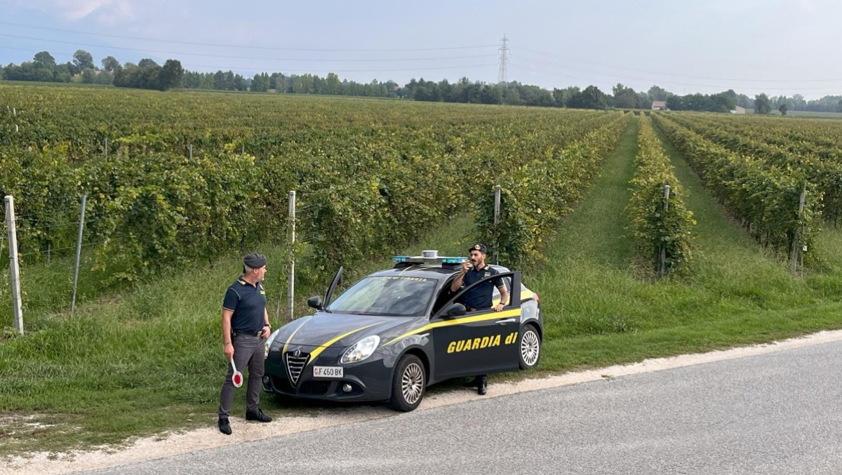 Vendemmia nel Trevigiano, controlli su campi e strade: 25 lavoratori irregolari e stop chiesto per 4 aziende - 