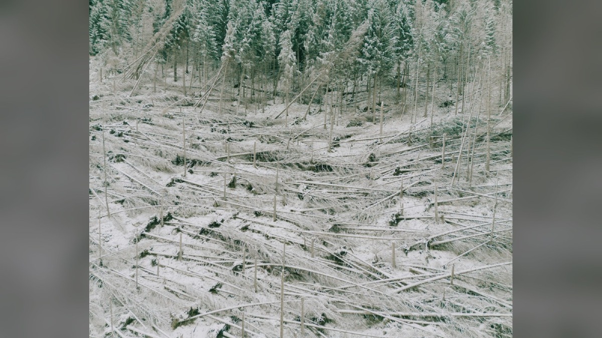 A Gorizia una mostra legge il Friuli Venezia Giulia attraverso i paesaggi feriti dal clima - 
