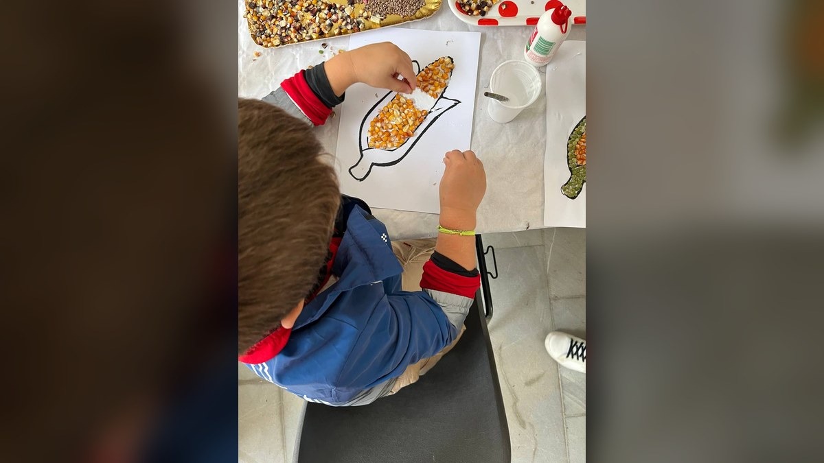 Tolmezzo, il Museo Carnico apre alle famiglie: due giorni tra laboratori, erbe alpine e tradizioni rurali - 