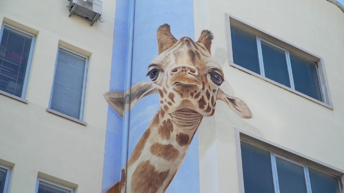 Burlo di Trieste, nuovo murales sulla facciata con lavori esterni da 100mila euro