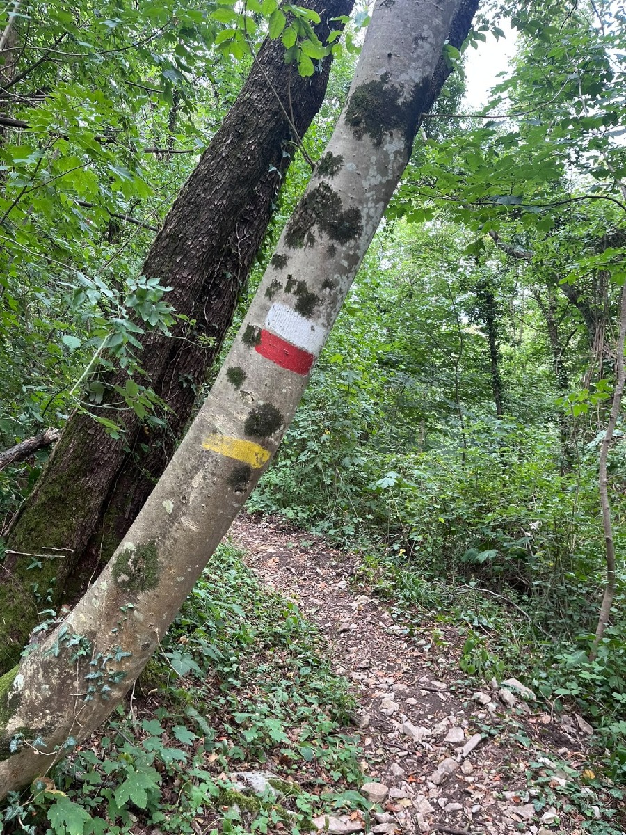 Valle di Soffumbergo, l’11 ottobre escursione tra i monti San Lorenzo e Joanaz