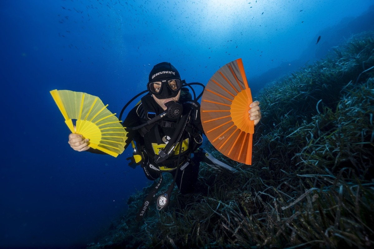 Mare caldo, estate 2026 da record anche a Miramare: Greenpeace avverte sui rischi