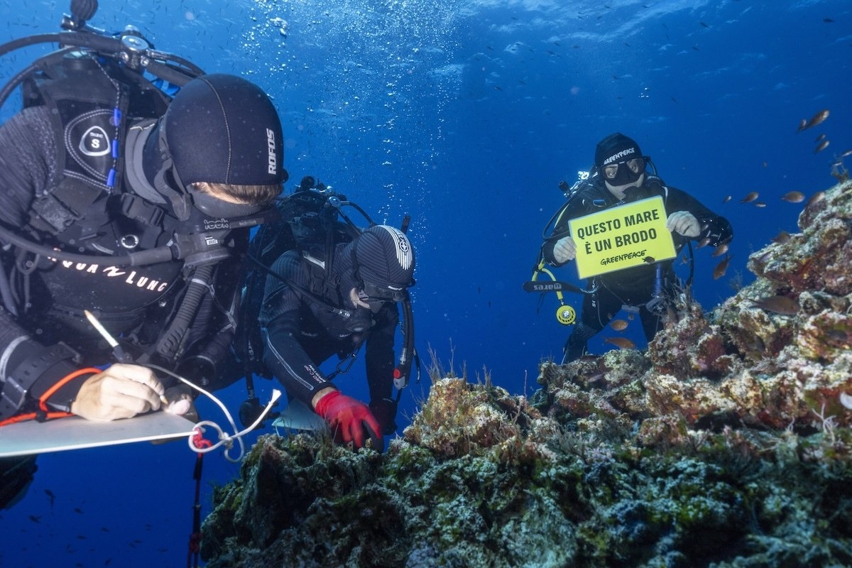 Mare caldo, estate 2026 da record anche a Miramare: Greenpeace avverte sui rischi