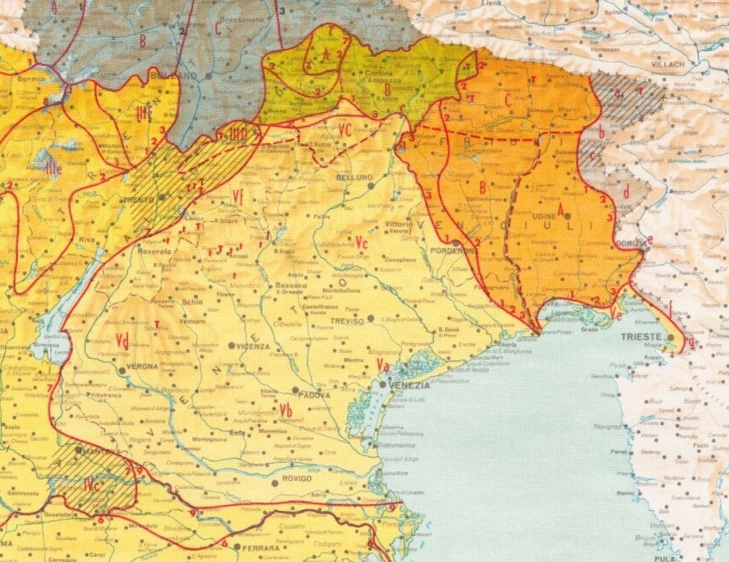 Lingua veneta, l’Academia attacca il PD Veneto dopo la conferenza con Tomasin