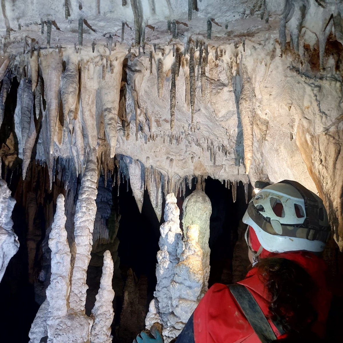 Trieste, corso di speleologia 2026 del CAT: lezioni dal 3 novembre e uscite in grotta