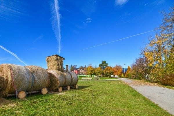 Roana, Vèrben torna il 10 e 11 ottobre con trenino tra Treschè Conca, Cesuna e Canove