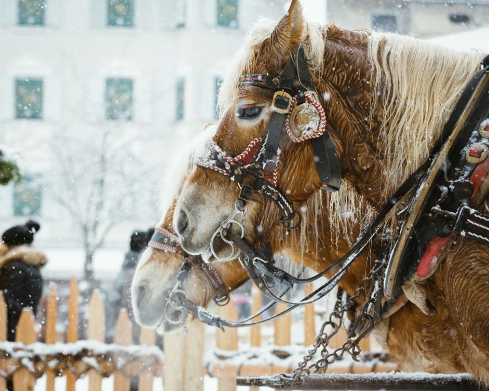 Bressanone, Natale 2026 per famiglie tra mercatino, OOPS 2 e neve sulla Plose