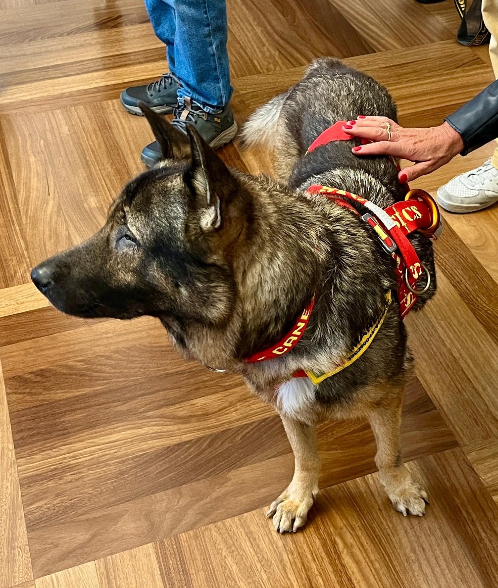 Marley a Trieste per Barcolana 58: primo cane cieco in Italia brevettato per il soccorso